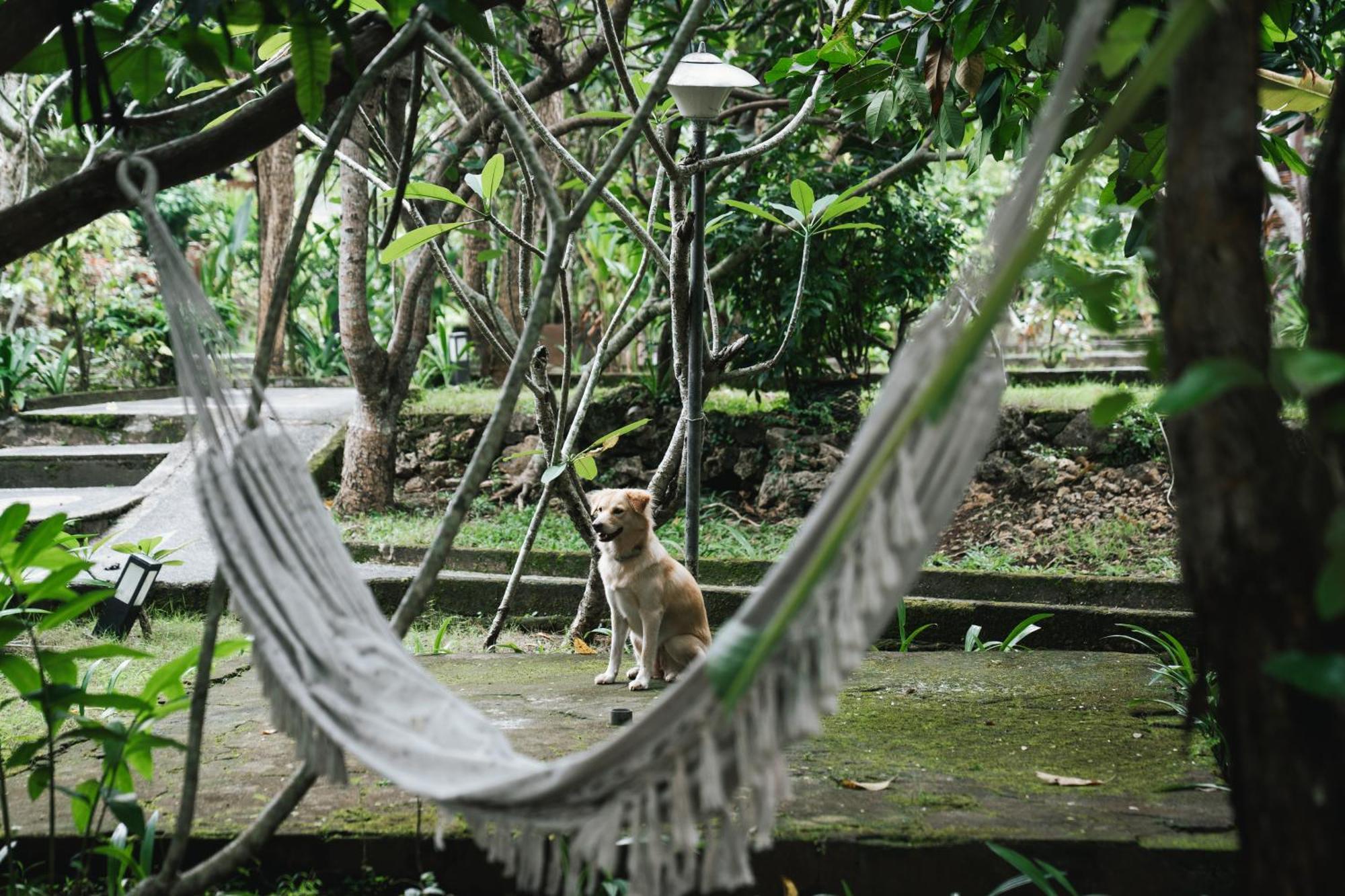 Olo Surf Nature Uluwatu  Bagian luar foto